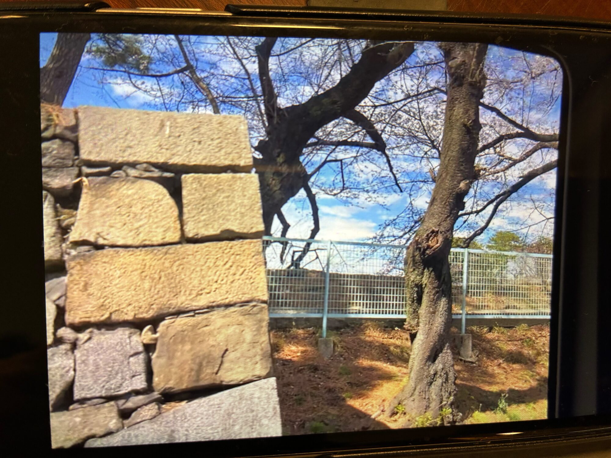 施設周辺の庭園。大きな樹木と石積み、手すり柵が見える景観